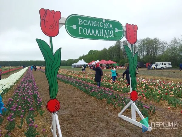 Із парасолями та «спецвзуттям»: відкрився фест «Волинська Голландія» (фото)