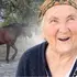 Ліс, Стир і 400-річний дуб: як живе село Куликовичі на Волині (фото, відео)