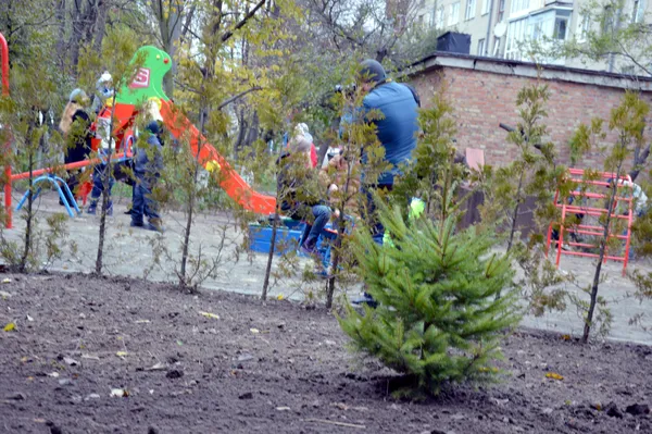 «Будуємо спільне майбутнє»: у луцьких дворах посадили дерева