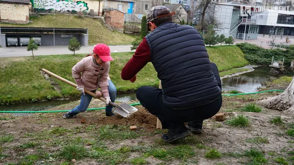 У луцькому «Сіті Парку» висадили понад 30 дерев (фото)