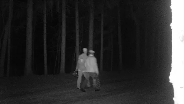 У лісі на Волині фотопастка спіймала крадіїв дубів (фото)