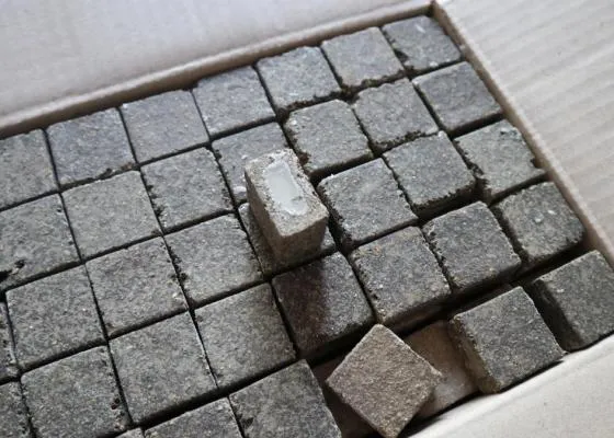 На Волині почали вакцинацію диких тварин