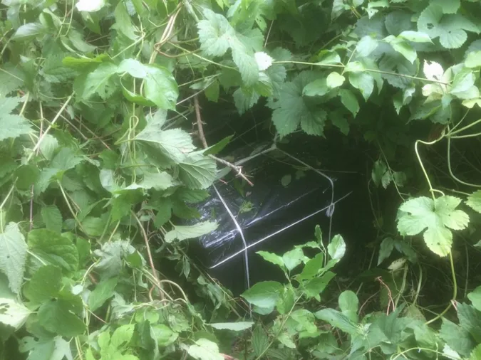 На Волині біля кордону знайшли 12 ящиків сигарет (фото)
