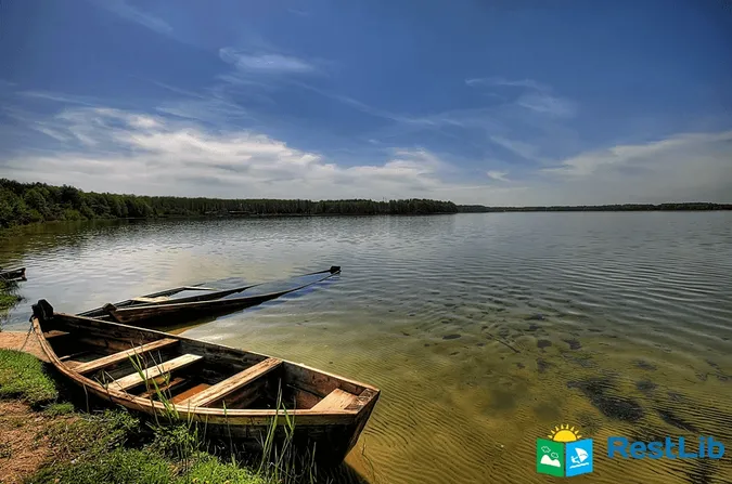 Серед лісу на Поліссі – глибоке містичне озеро, в якому водяться двометрові вугрі (фото)