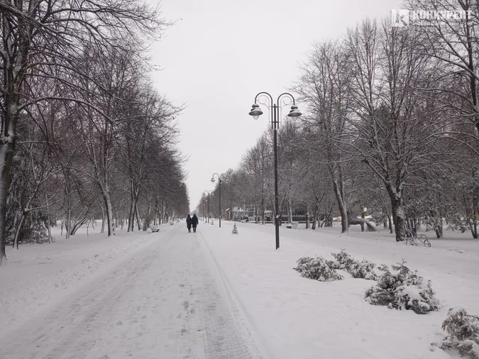 Сніжно і безлюдно: зима у Центральному парку Луцька (фото)