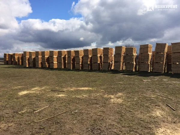 На Волині перекрили контрабанду пиломатеріалів на 40 мільйонів (фото)