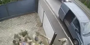 У Ковелі група оповіщення ТЦК затримала чоловіка на чужому подвір'ї: деталі конфлікту  (відео)