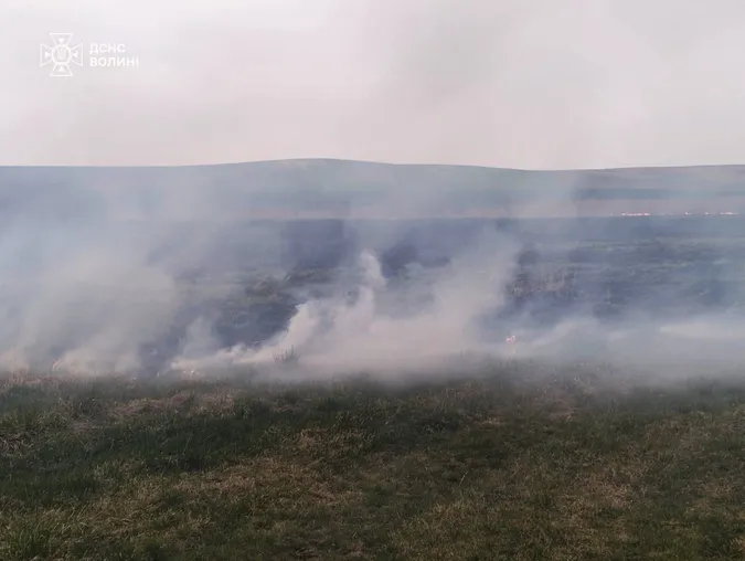 Вогонь знищив 6 га: на Волині сталися пожежі через людську недбалість