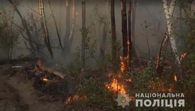 Помстилася роботодавцю: жінка влаштувала пожежу біля Чорнобильської зони