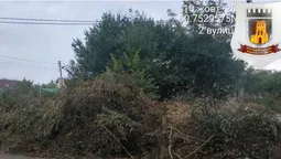 У Луцьку голову ОСББ насварили за звалене біля смітників гілля та зілля (фото)