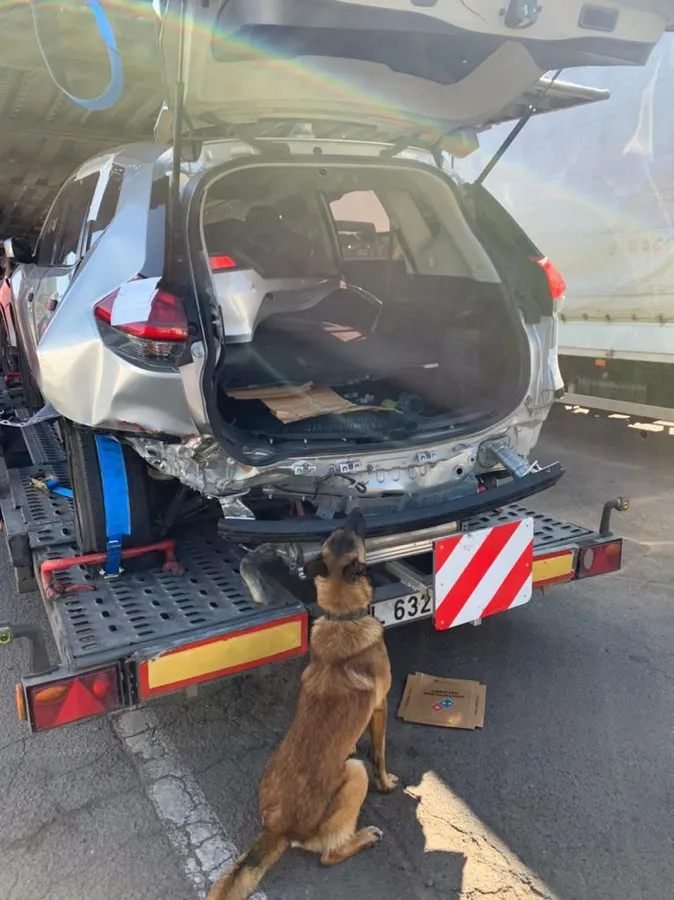 На Волині службовий пес внюхав на кордоні з Білоруссю авто з набоями