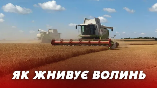 Робота кипить: як жнивує Волинь (відео)