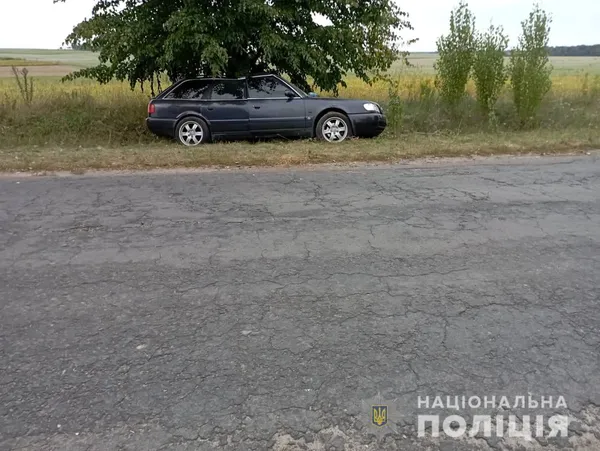 У Ковелі авто збило жінку з донькою на переході – їх госпіталізували (фото, відео)