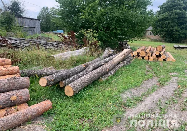 На волинських пилорамах знайшли незаконні дуби й сосни (фото)
