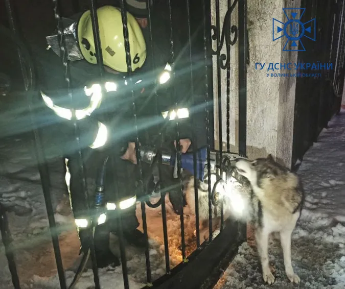 У Ківерцях рятувальники визволили собаку, який застряг у паркані