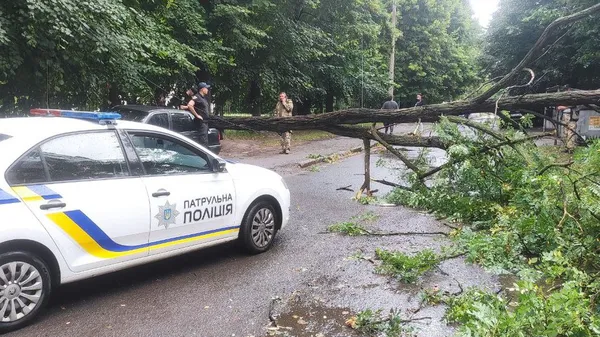 Негода у Луцьку: на припарковане авто впало дерево (відео)