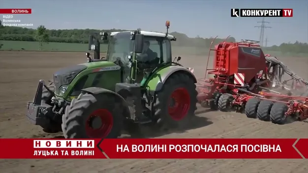 Уже посіяли більше 200 тисяч га озимих культур: на Волині розпочалася посівна (відео)