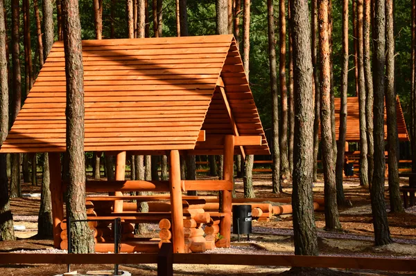 Лісівники соціальні: подорож рекреаційними пунктами Волині (фото)