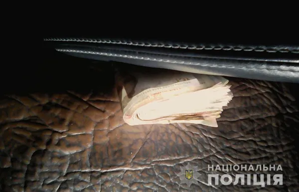 На Волині двоє п'яних водіїв «нарвалися» на кримінал через хабар поліцейським (фото)