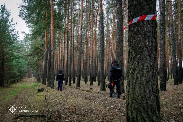 Місія безпеки: волинські піротехніки очищають ліси Харківщини від смертельних пасток (фото, відео)