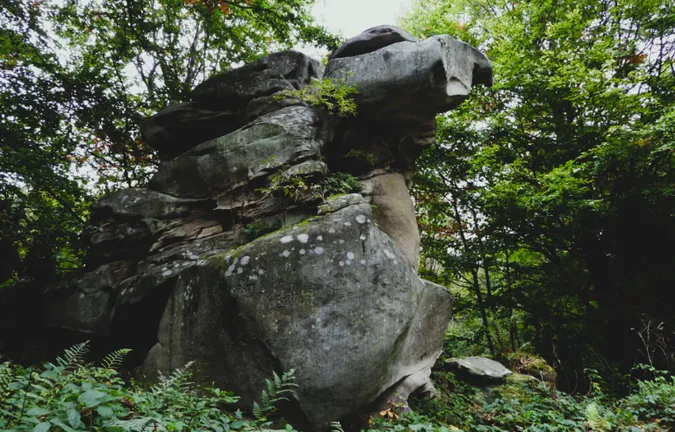 Український «Острів Пасхи»: серед лісу в Карпатах ховаються понад 100 загадкових валунів (відео)