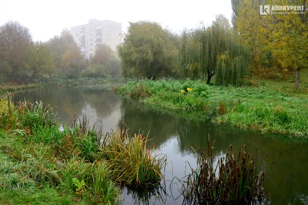 Лячно, кольорово, тихо: осінь у парку 900-річчя Луцька (ФОТО)