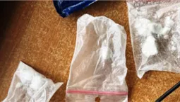 На «Ягодині» затримали поляка з наркотиками (відео)