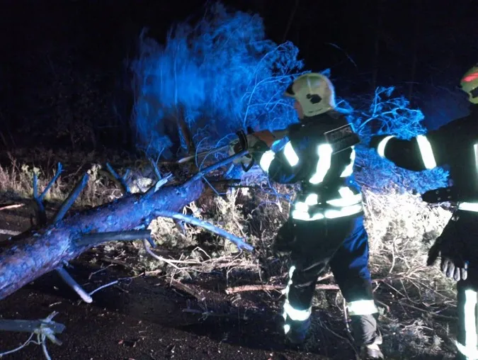 На Волині на дорогу пориви вітру повалили дерево – викликали рятувальників (фото)