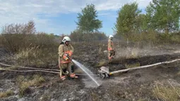 На Волині невідомі підпалили поле: їм загрожує штраф (фото)