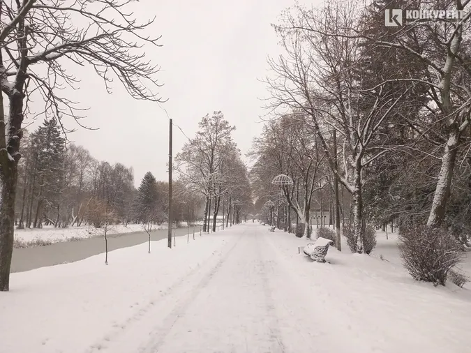 Сніжно і безлюдно: зима у Центральному парку Луцька (фото)