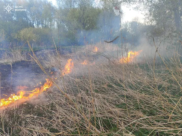 Людська необережність: на Волині рятувальники приборкали дві пожежі (фото)