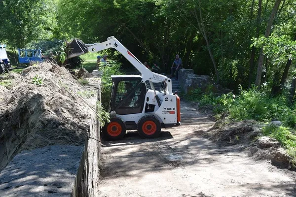 У луцькому парку видаляють аварійні дерева (фото)