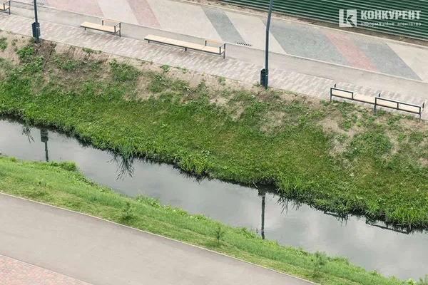 Вздовж Сапалаївки: у Луцьку хочуть збудувати пішохідну набережну через все місто (фото, деталі)