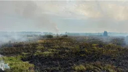 На Волині горять торф'яники (фото)