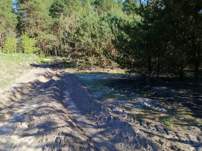 Біля Цумані горів ліс: на місці організували цілодобове чергування (фото, відео)