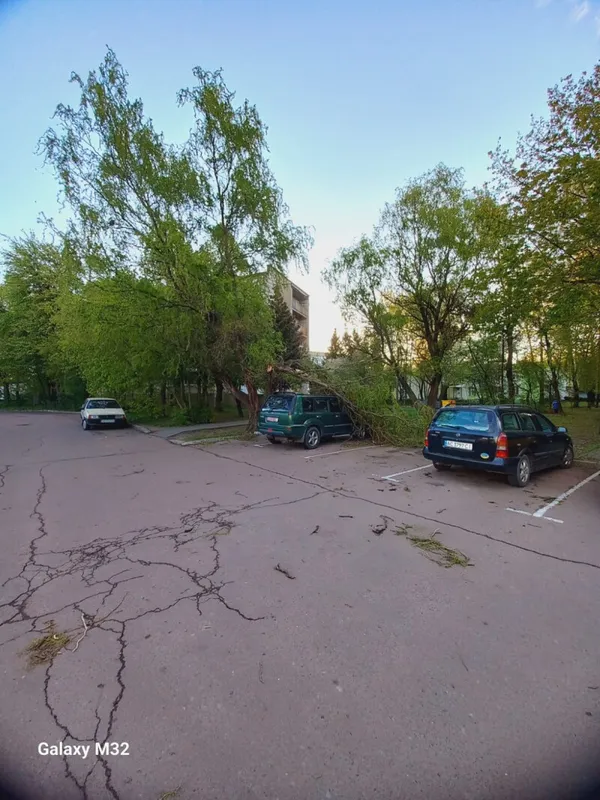 Повалені дерева і зірвані дахи: у Луцькій громаді ліквідовують наслідки буревію (фото)