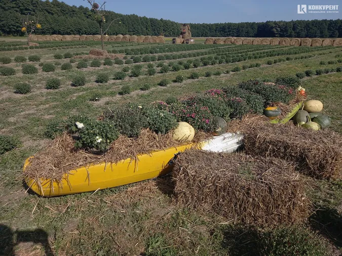 Розпочався фестиваль квітів «Осінь у Волинській Голландії» (фото)