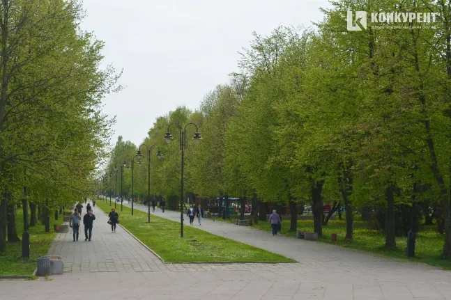 У Луцьку чоловіка судитимуть за те, що сходив у туалет під деревом
