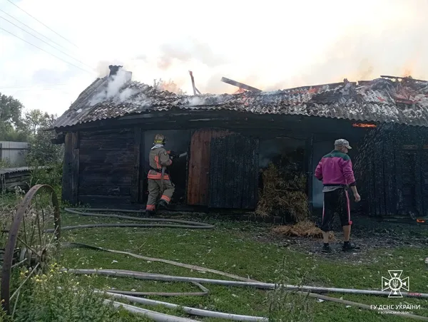 15 пожеж і 21 рятувальний виїзд: як минув тиждень у надзвичайників Волині