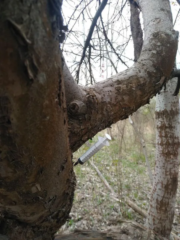Патрульні Волині показали всіяний шприцами парк (ФОТО)
