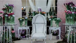 Armani, Dior та ванна у квітах: біля Луцька – pre-party «Волинської Голландії» (фото)