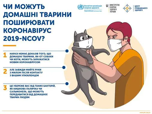 Луцька ветлікарка пояснила, чи можна заразитися коронавірусом від домашніх тварин