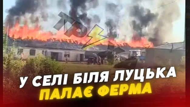 Під Луцьком живцем горять тварини на фермі (відео)