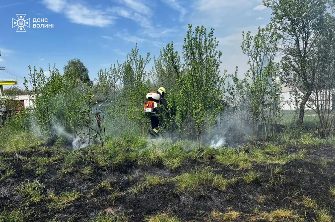 На Волині загасили 9 пожеж сухої трави: займання сталися у всіх районах області (фото)
