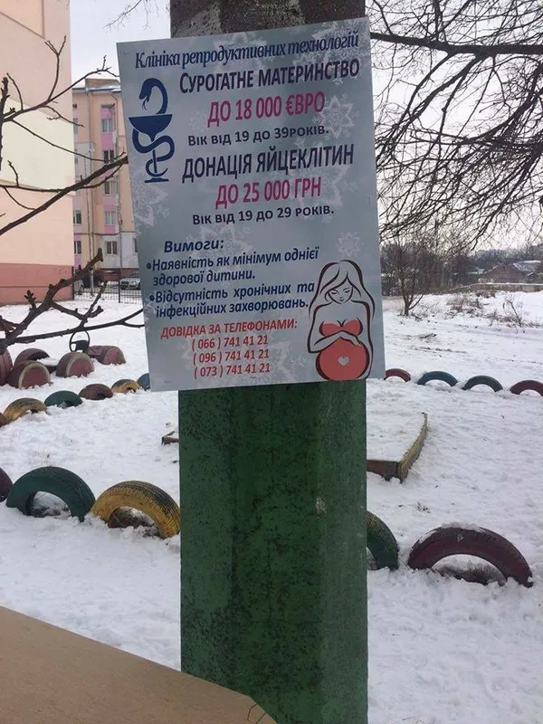 У Луцьку на стовпах рекламують сурогатне материнство (фото)