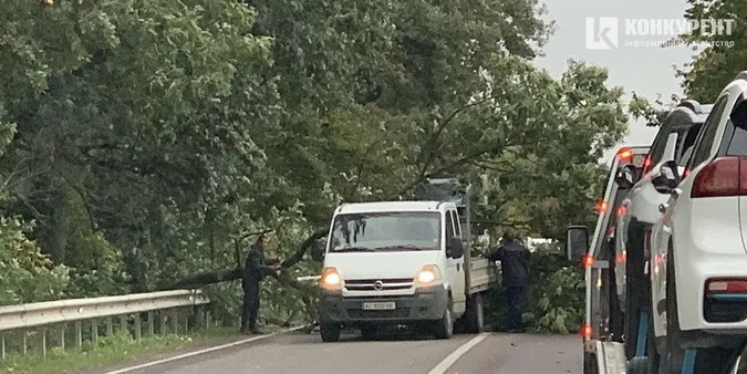 На трасі під Луцьком дерево впало на автівку (фото)