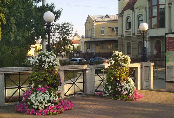 Біля «огидного» мосту у Луцьку в землі закопані скульптури польських письменників (фото)