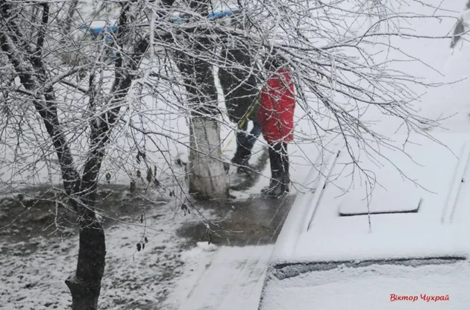 Фотографи показали засніжену природу Луцька