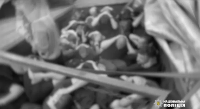 Скріншот з відео Нацполіції