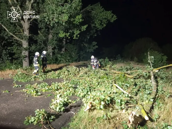 Негода повалила дерево на дорогу в Луцькому районі